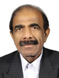ملک فاضلی