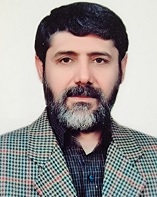 سید ناصر حسینی پور